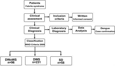 Improving dengue diagnosis and case confirmation in children by combining rapid diagnostic tests, clinical, and laboratory variables